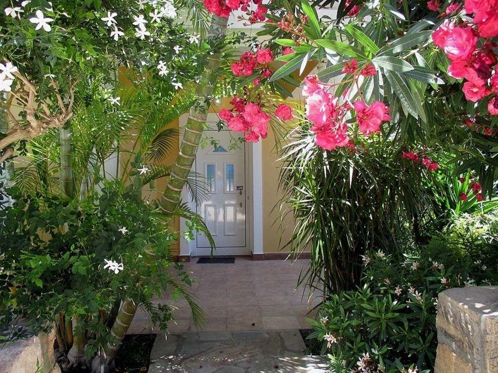 Rododafni Villas Klorakas Esterno foto