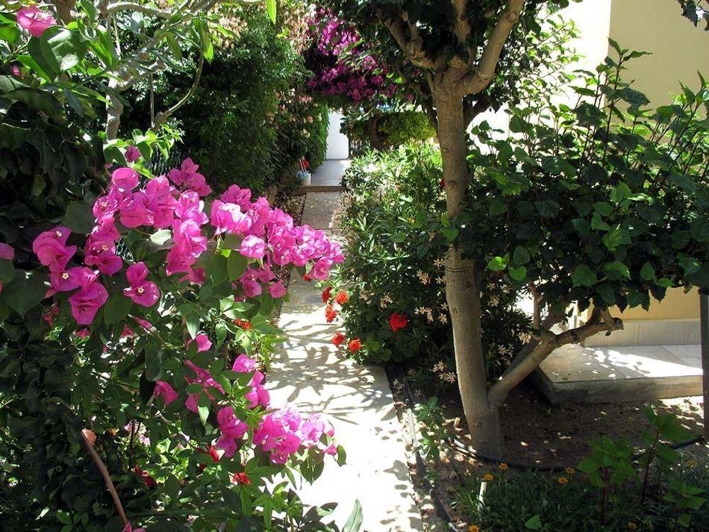 Rododafni Villas Klorakas Esterno foto