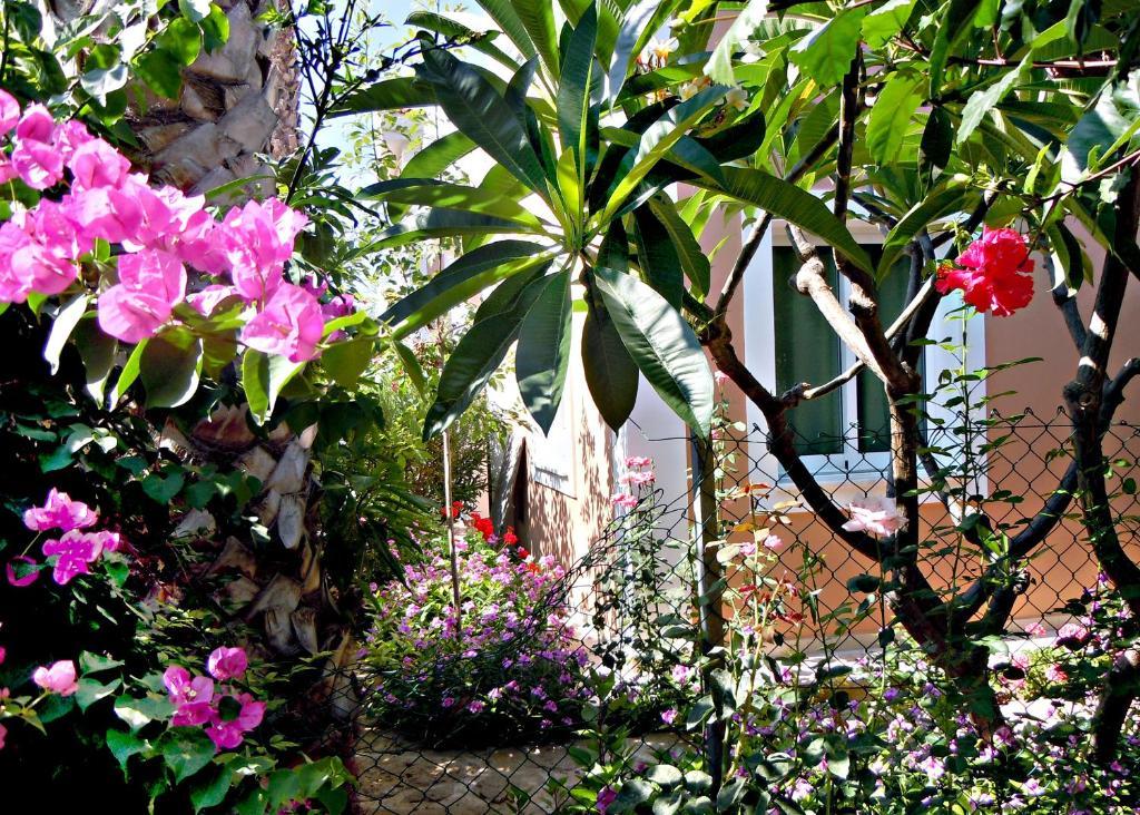 Rododafni Villas Klorakas Esterno foto
