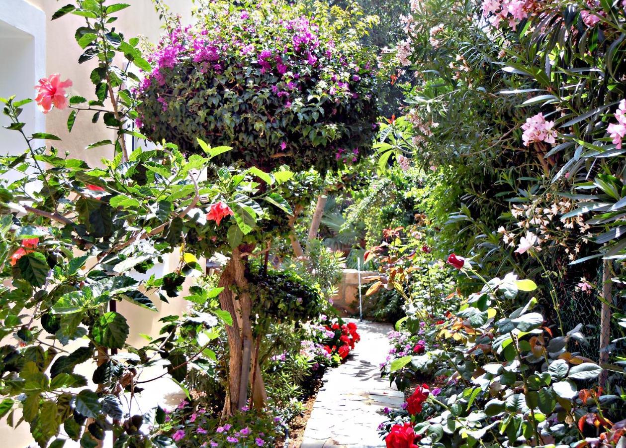 Rododafni Villas Klorakas Esterno foto