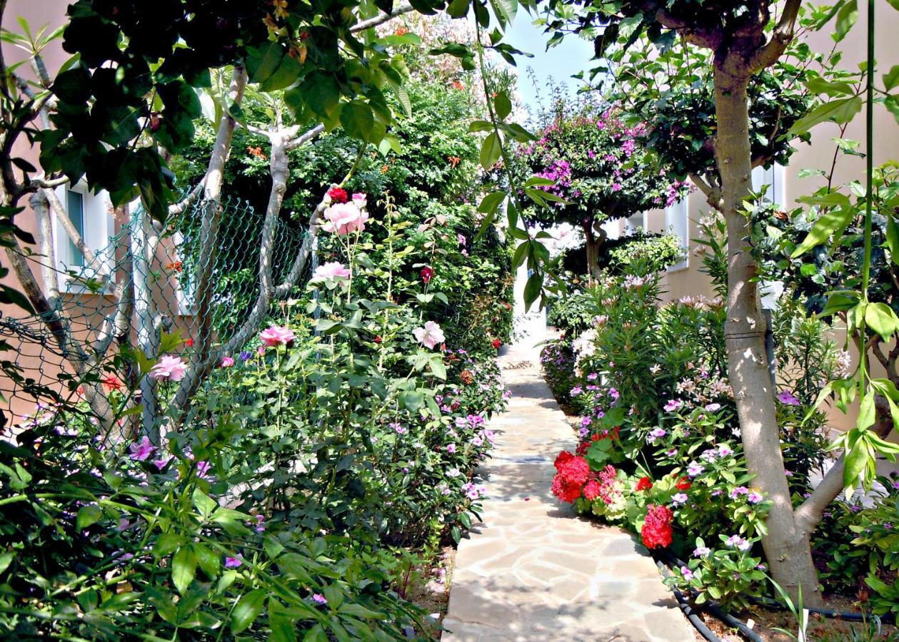Rododafni Villas Klorakas Esterno foto